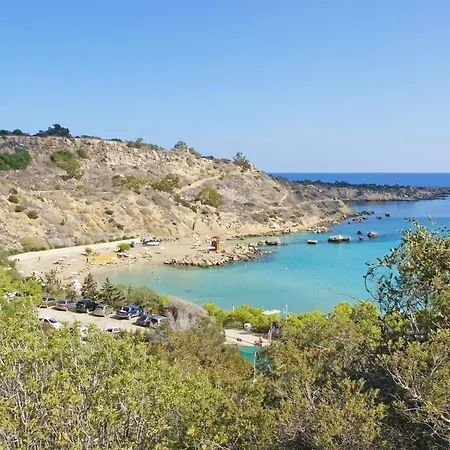 Anastasia - Fig Tree Bay Area *